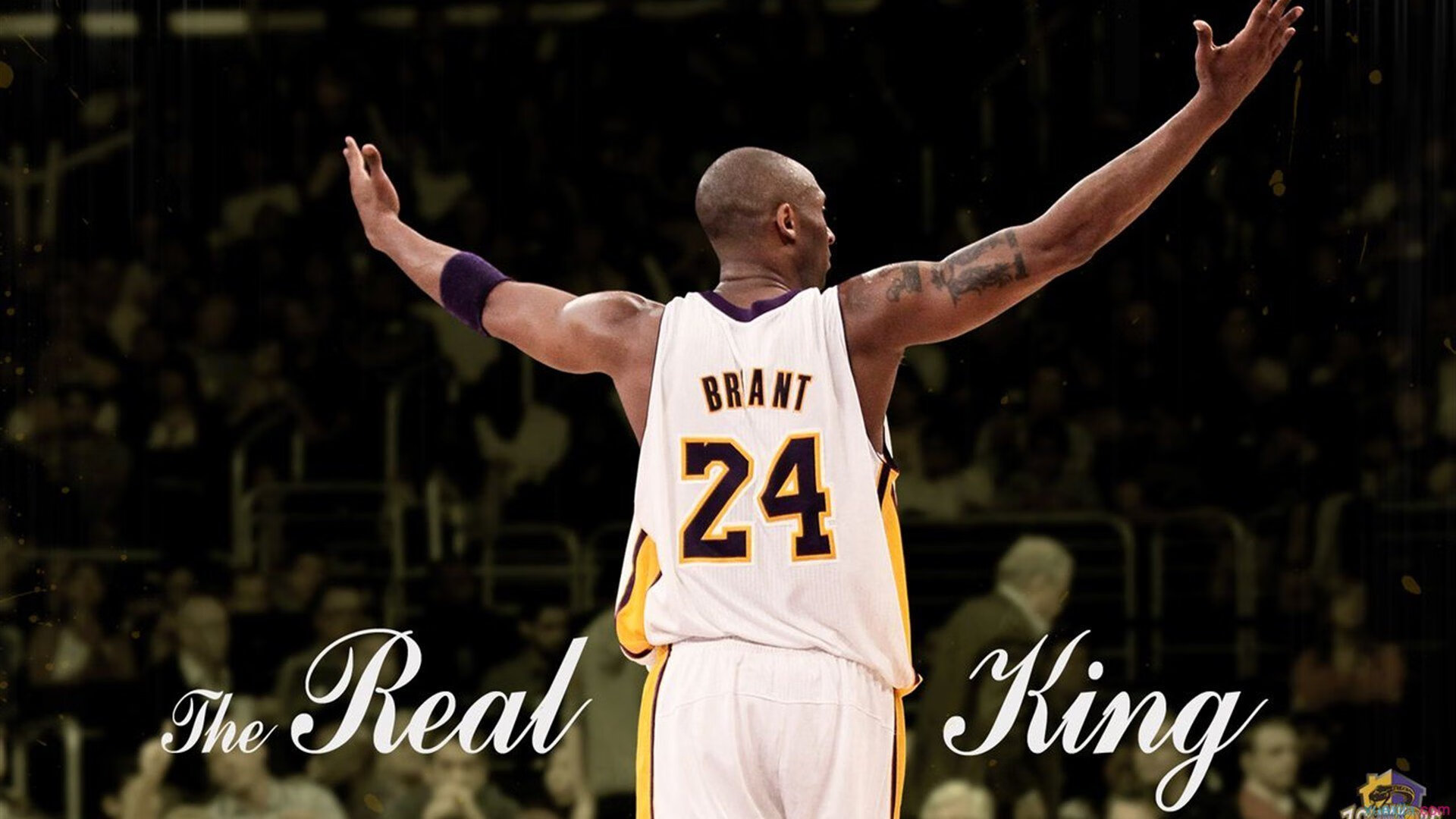 德国马术协会与非洲马术协会开展技术援助项目，提升当地水平。